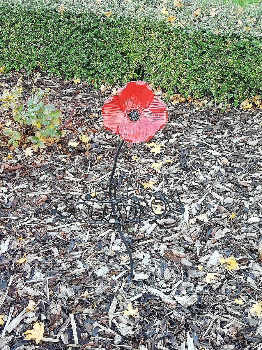 617 Squadron Poppy @RoyalAirForce #bombercommandmemorial 🙏🇬🇧