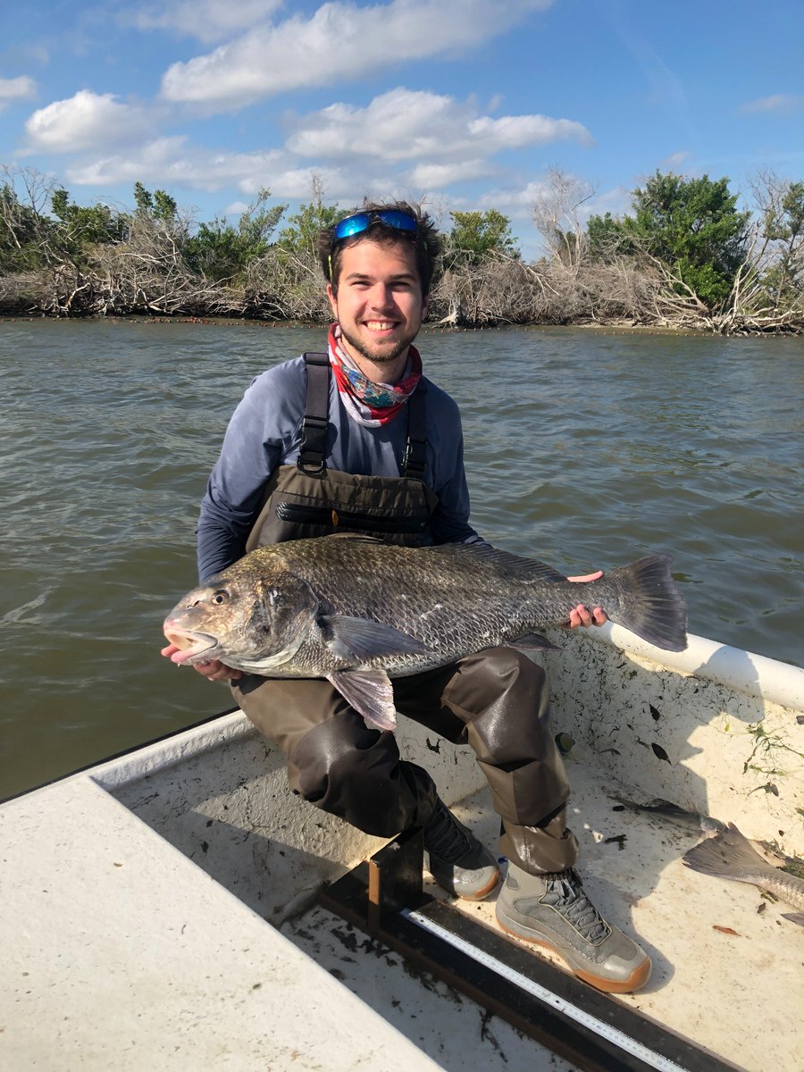 FisheriesPod's tweet photo. What is the role of fish habitat? Tune in to hear @UFSNRE PhD student @ecoloadam share his research identifying the drivers of community-level differences between seagrass and macroalgae-dominated habitats! Hosted by @GottesmanHannah. 

https://t.co/lgyNbdAeIF https://t.co/TPXwQUiKaW