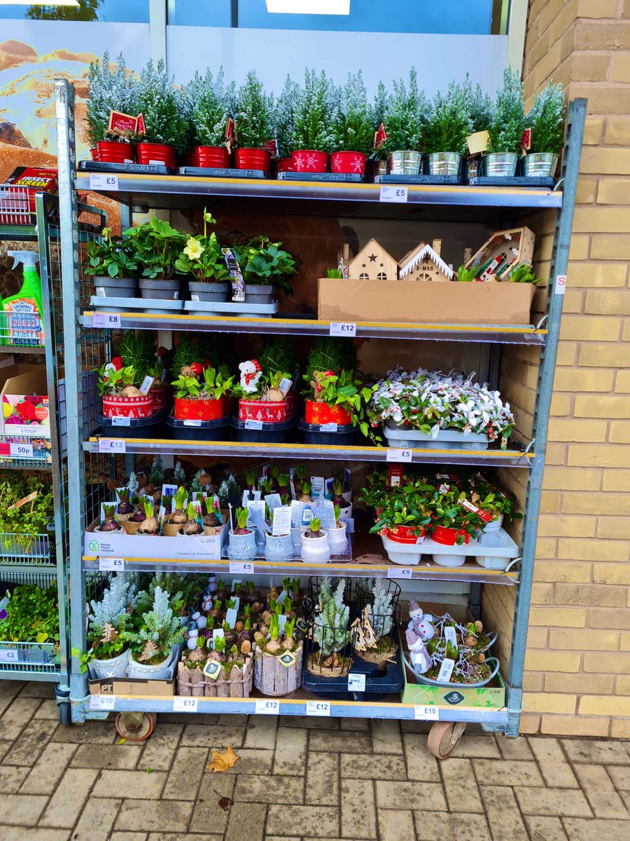 Yule fir sure find the perfect gifts to sleigh it this Christmas 🎄🎅🏼 🪴 🍺 
@ Hickings Lane Coop  #Christmas #Gifts #Christmaspuns #Stapleford <a href="/Chris_BerryCEC/">Chris Berry</a>