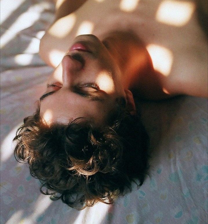 filmstvculture's tweet image. tagged Timothée Chalamet pictures that aren’t Timothée Chalamet - a thread