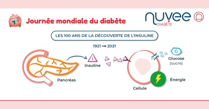 Soutenez l’accès à l’approche éducative moderne et originale de <a href="/nuvee/">chrissy ofor</a> #diabete
Prenez quelques secondes pour un vote 👍
acteursdudiabete.fr/projet/nuvee