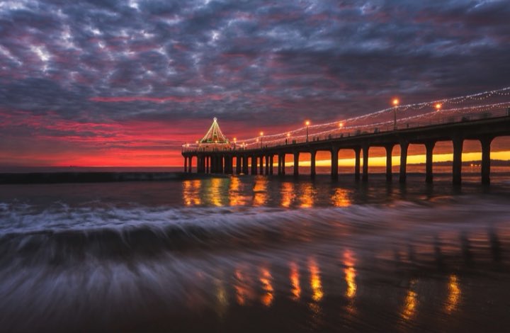 Brandon Yoshizawa tweet media