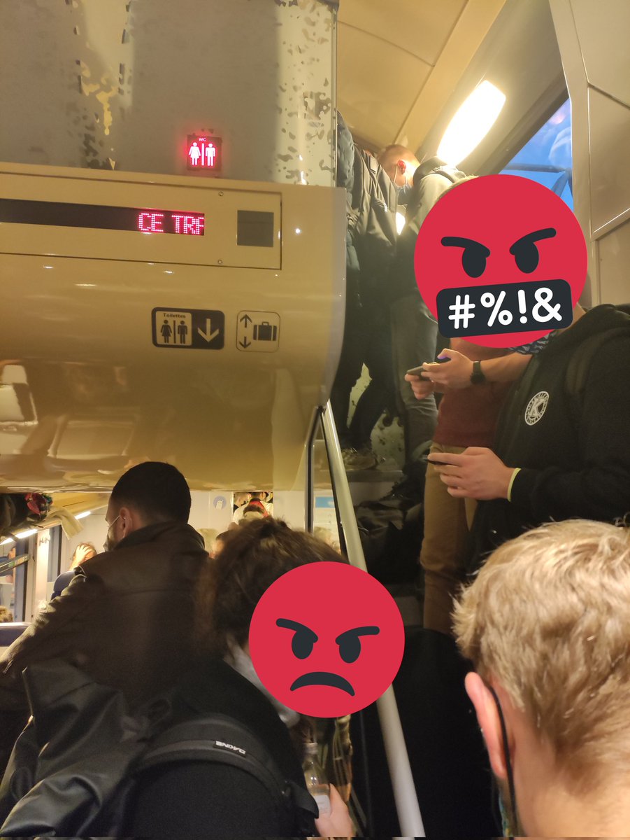 🍸Olga🇪🇪Fedesendvich🥪 tweet media