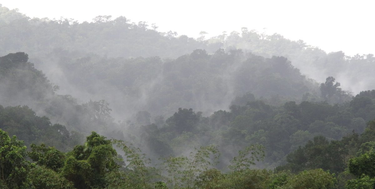 CEPF (@communitycepf) on Twitter photo One more week to submit a letter of inquiry for a Caribbean Islands Biodiversity Hotspot grant! CEPF's open call closes 21 November. Learn more: ow.ly/pC4850GruiL
<a href="/CANARICaribbean/">CANARI Caribbean</a> One more week to submit a letter of inquiry for a Caribbean Islands Biodiversity Hotspot grant! CEPF's open call closes 21 November. Learn more: ow.ly/pC4850GruiL
<a href="/CANARICaribbean/">CANARI Caribbean</a>
