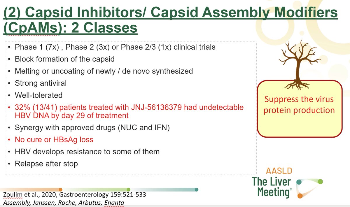 swang8's tweet photo. More from "HBV Cure- How Close Are We?" @LiverMtg21 patient track yesterday.
Carla Coffin @cscoffin & Kosh Agarwal did an amazing job bridging the tree analogy to the #HBV therapeutics in development. Thank you for explaining the science to the wider community! #RoadtoHBVCure https://t.co/7NrKVc96Nr