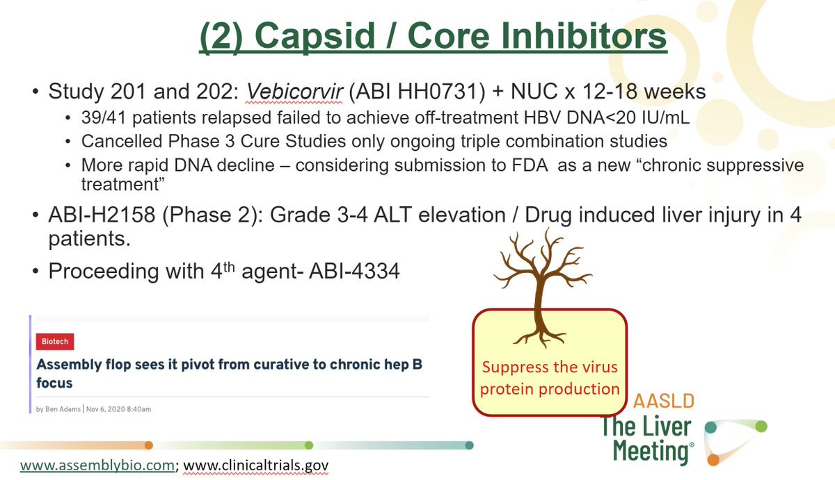 swang8's tweet photo. More from "HBV Cure- How Close Are We?" @LiverMtg21 patient track yesterday.
Carla Coffin @cscoffin & Kosh Agarwal did an amazing job bridging the tree analogy to the #HBV therapeutics in development. Thank you for explaining the science to the wider community! #RoadtoHBVCure https://t.co/7NrKVc96Nr