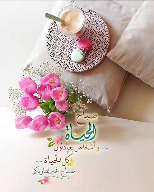 ahmed gamal (@adelabdella7) on Twitter photo 