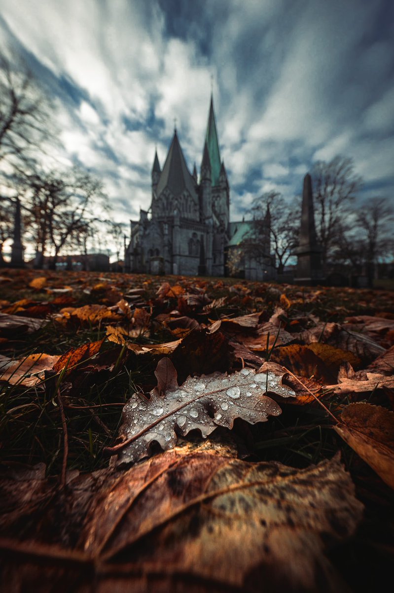 LarsGunnarB's tweet photo. @Desicherie My latest 🍂🍁 https://t.co/gSeerjzCse