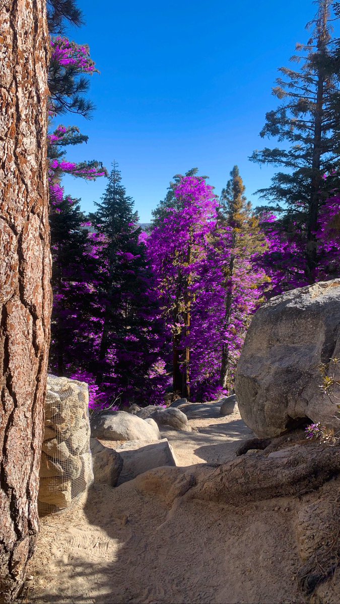 Pointshark1's tweet photo. Messing with the #purplevalley IG filter by @OttisOts. Itโs great for the trails! https://t.co/qd7VeVgil8