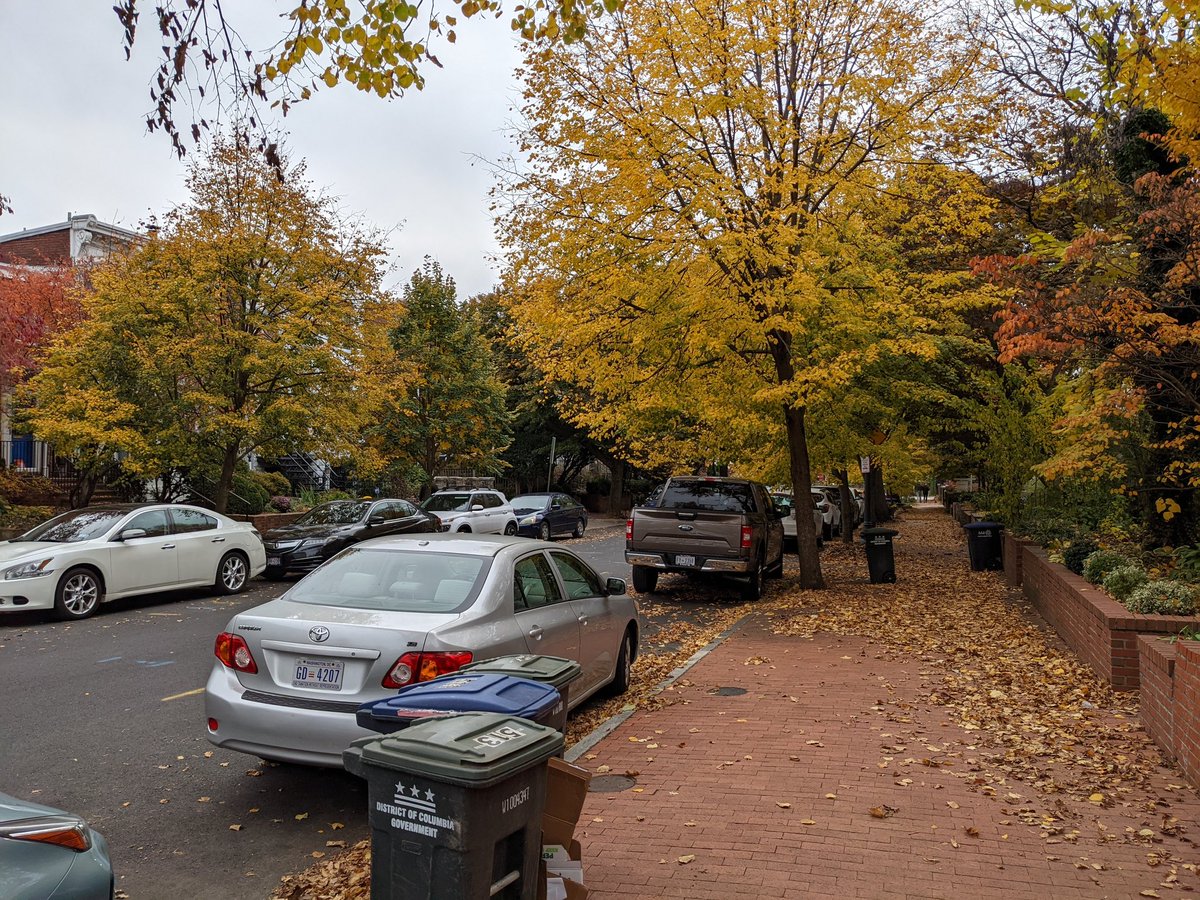 MarkSussman_'s tweet photo. Need the next Google Pixel, so I can "magic erase" all these damn cars from an otherwise beautiful #FallDC photo https://t.co/sScApnQrBu