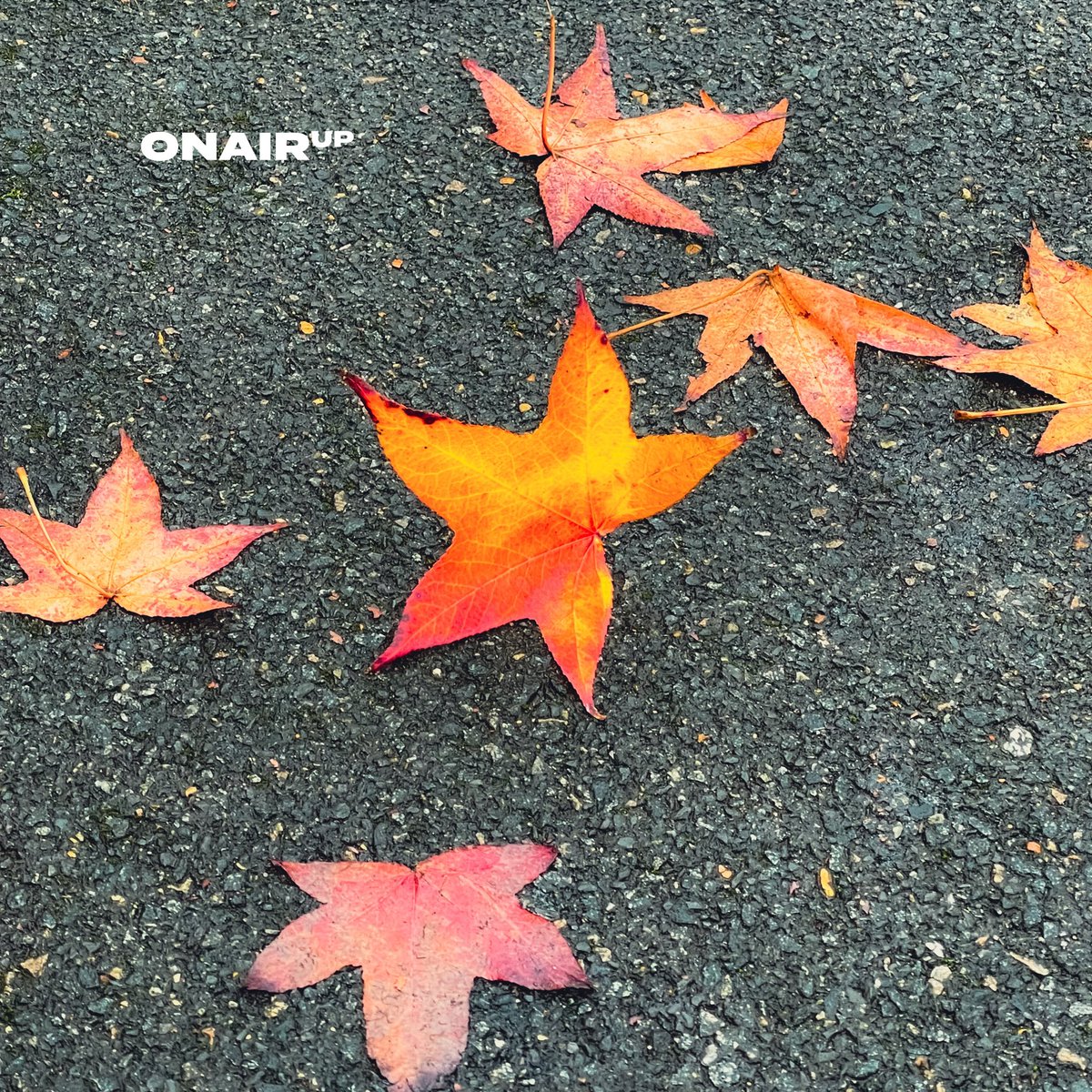 onairup's tweet photo. #life https://t.co/nfpKp3olT7