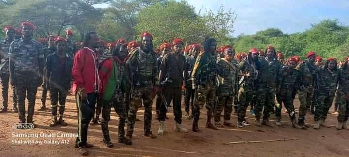 # Oduu  gammachuu Oromoof. 
Hiree fi gachaani Uummata Oromoo kani ta’e #WBOn  zoonii Kibbaa Cibraa Oddoo Addoola guyyaa har’aa humna furgaatu, Eebbisu gara diqamattii  bobbaasuun  beeksise.
 Eebbii guyyaa  har’aa #Oromoof gammachuu  yoo ta'uu diinaaf immoo  nasuudha.