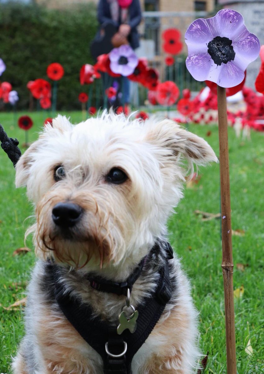 PoppyH20's tweet image. Remembering …………. 😘😘