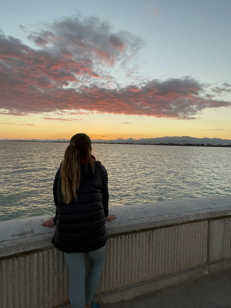 María Torralba tweet media