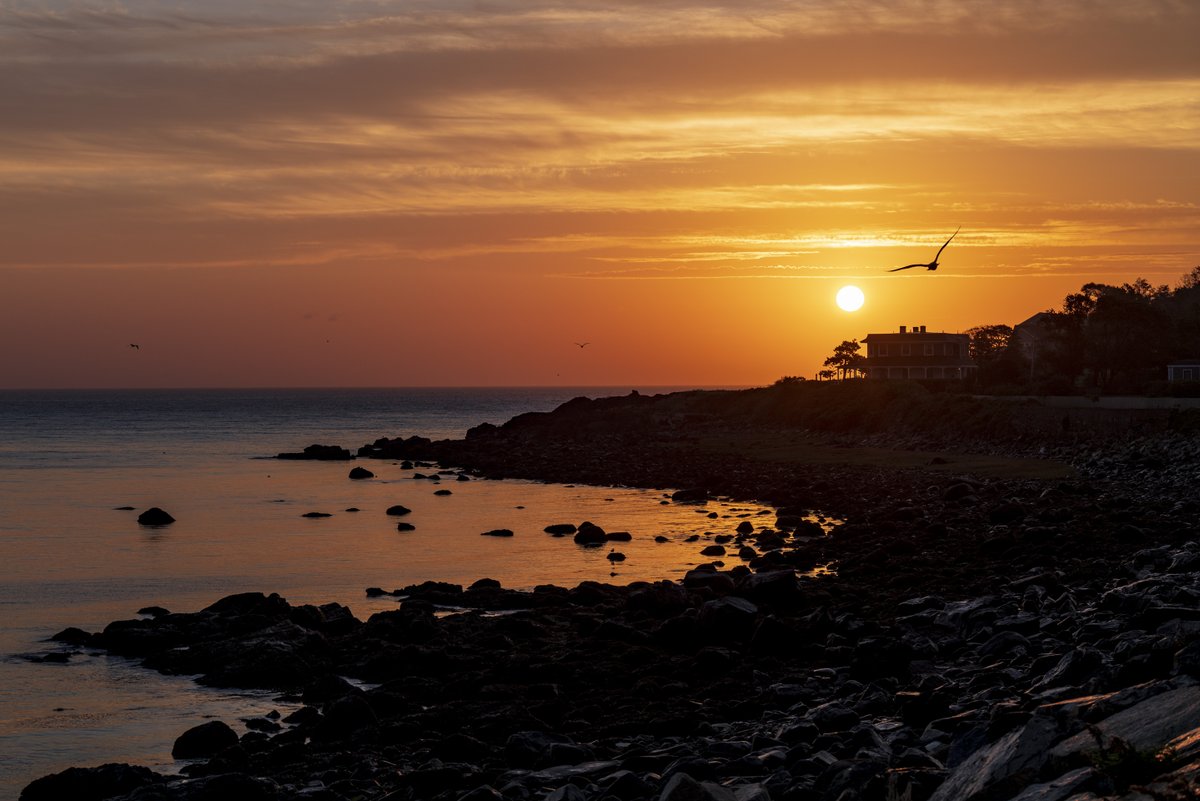 HalGregersen's tweet image. Light life up today. #leadership #photography #composeandwait #reflectivequiet #SundayThoughts  3/3