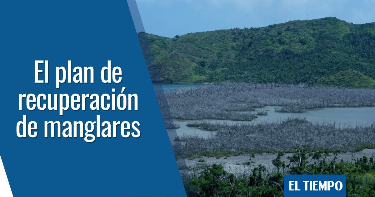 ELTIEMPO's tweet image. ¿Cómo va la recuperación de los ecosistemas afectados por el huracán Iota en Providencia? Le contamos, a #UnAñoDelHuracánIota ► eltiempo.com/colombia/otras…
