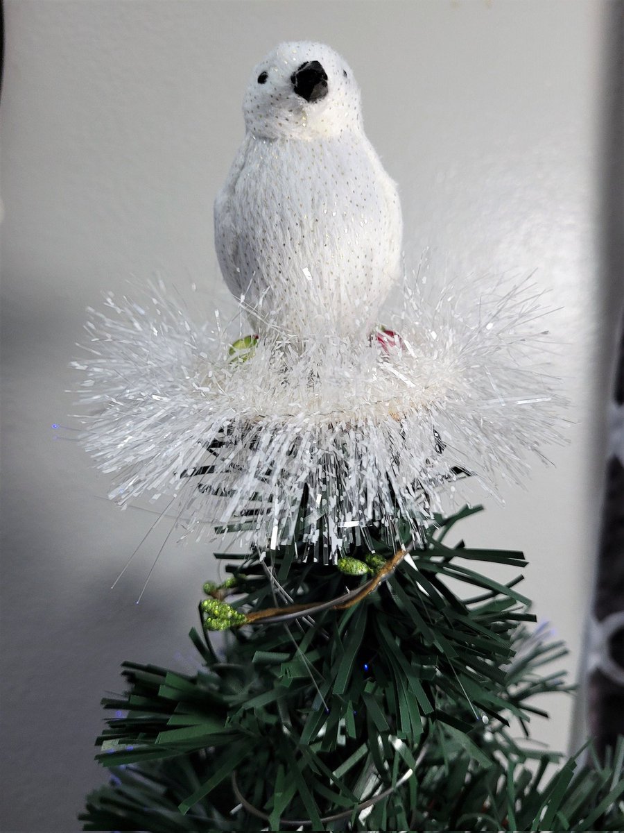 Excited to share the latest addition to my #etsy shop: Penguin bedspring tree topper, Holiday decoration, Christmas Star, Ready to Ship #penguintopper #bedspring #treetopper #christmasstar #winterwonderland #christmasdecoration etsy.me/3cdXFNn
