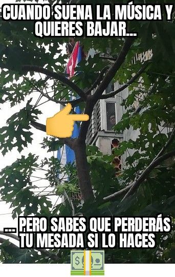 #CubaEsCultura 
#CubaVive