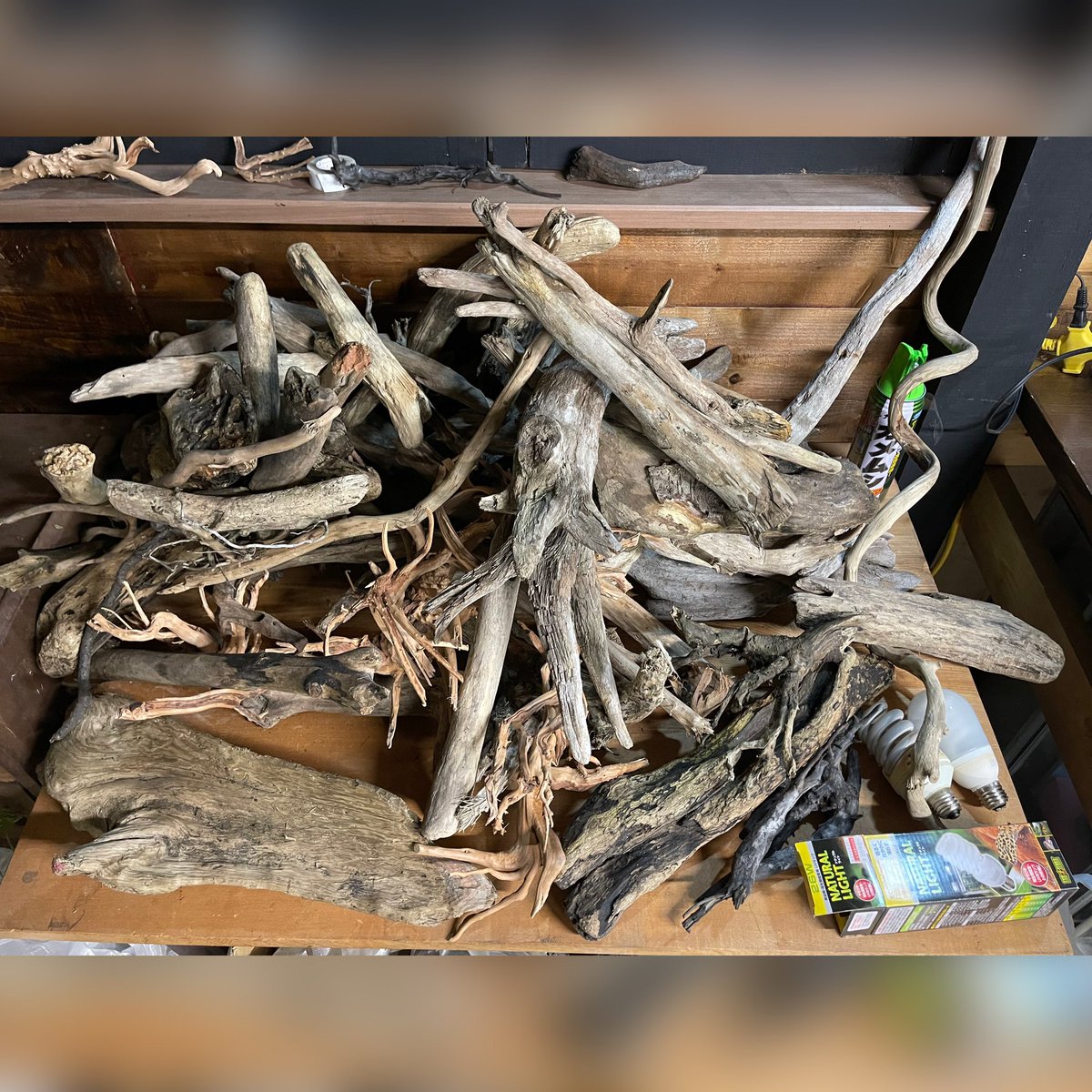 限定販売 流木 店舗向け インテリア Visitmangystau Kz