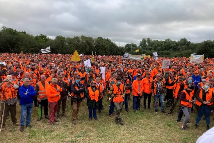JeanCbzh22's tweet photo. Quand toutes la populations anti-chasse se réunit à #laille samedi devant la mairie. Face a la minoritée des chasseurs qui se réunissent à redon en septembre.
Soit il me faut un rdv ophtalmo en urgence
Soit nous sommes encore face Ă un mensonge
#IlsSachentNousChassons https://t.co/wFDieHMLQX