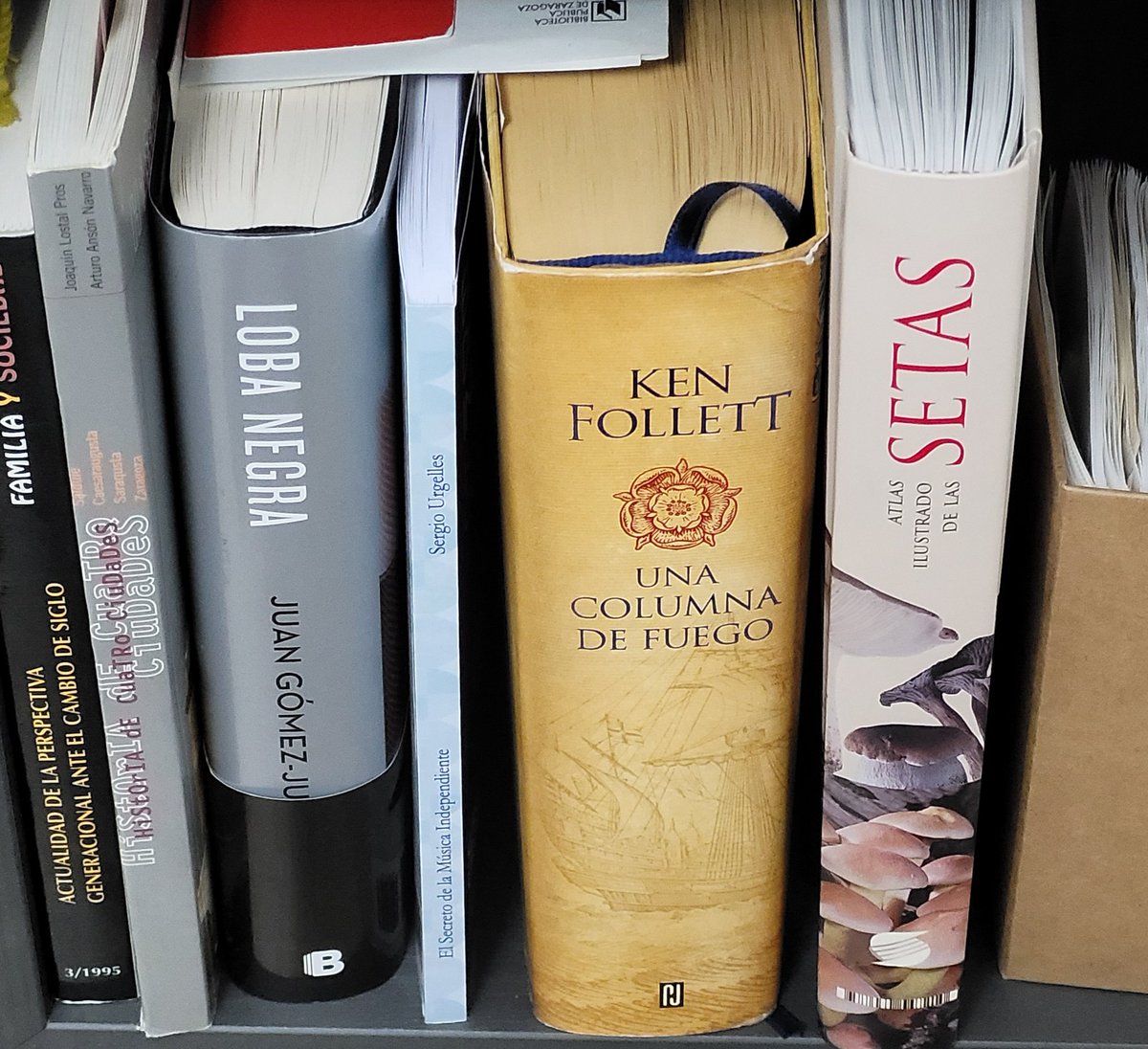 TierraVertical's tweet photo. Cenar en casa de alguien y ver tu libro... aunque casi no se deje ver 😅 #librosdemusica #LibrosRecomendados #Bestseller #elsecretodelamusicaindependiente #tierravertical #musicaccion https://t.co/RExs2PYRZd