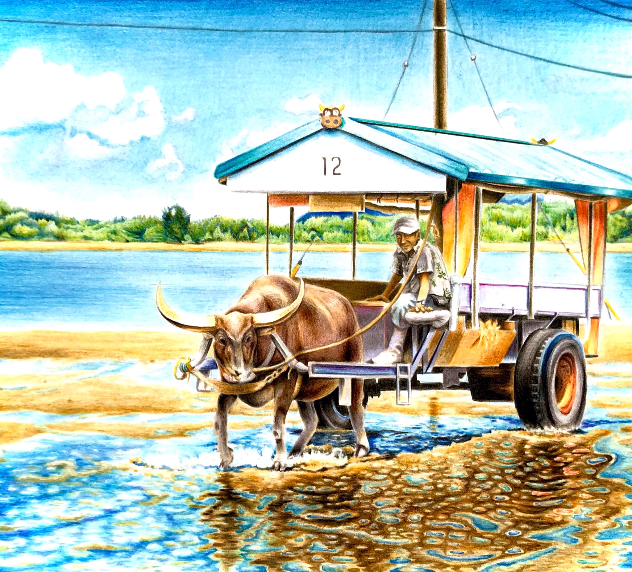 تويتر ぼんぼん على تويتر 色鉛筆で描いた由布島の水牛 色鉛筆画 イラスト Coloredpencil T Co 29n2g2mrqc