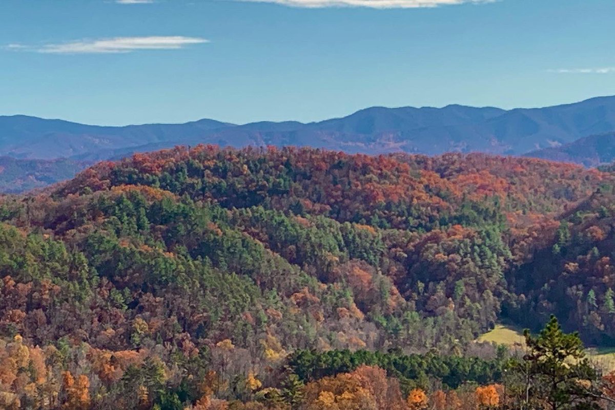 DBellaPhotog's tweet photo. Soon to be our playground!!! Just some cellphone pics but you get the point! #BedAndBteakfastOwners #Tennessee #EastTennessee #PhotographersDream https://t.co/x3ouIjDoF9