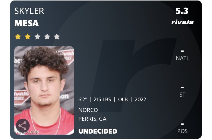 Skyler Mesa tweet media