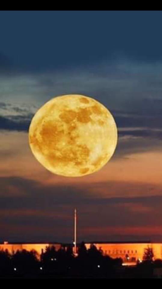 Postalıyorum: Cuma günü uzun aradan sonra parçalı Ay tutulması görülecek... Seyretmeyi unutmayın...

#yargı Azize￼ #Alparslan #ferditayfur