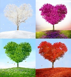 79834SA's tweet photo. #ForAllSeasons 🌺🍀🍁❄
You always look perfect to me. https://t.co/FOVXfFMhQp