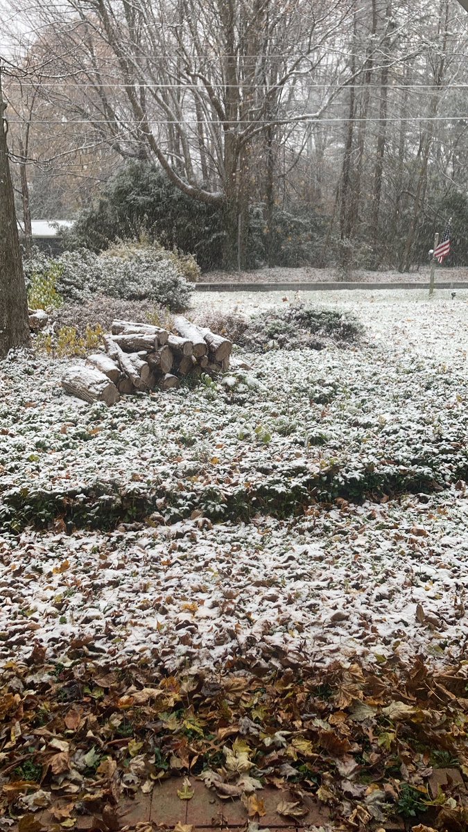 Meggel21's tweet photo. OH NO! The snow!!!! It’s sticking!! #ohno #ohnothetableitsbroken #snow #cleveland #tiktok #viral https://t.co/iCLBjmx4Bi