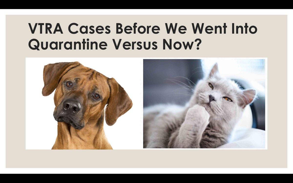 Center for Trauma Informed Practices (@ctipractices) on Twitter photo We have been busy! But those of you who are VTRA Trained, we are sending out a comparative SURVEY tomorrow looking at Frequency and Intensity of cases pre-pandemic compared to this Fall. Please share your experience - add to the research! <a href="/JKevinCameron/">J. Kevin Cameron - M.Sc., R.S.W., B.C.E.T.S., B.C.</a> We have been busy! But those of you who are VTRA Trained, we are sending out a comparative SURVEY tomorrow looking at Frequency and Intensity of cases pre-pandemic compared to this Fall. Please share your experience - add to the research! <a href="/JKevinCameron/">J. Kevin Cameron - M.Sc., R.S.W., B.C.E.T.S., B.C.</a>