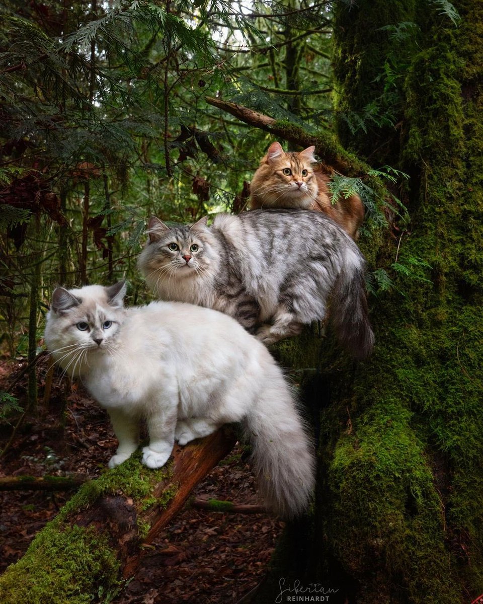 Jeanette tweet media