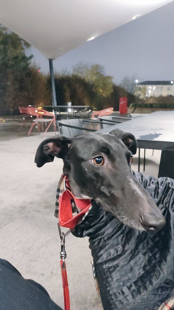 ValentinaDallaCosta tweet media