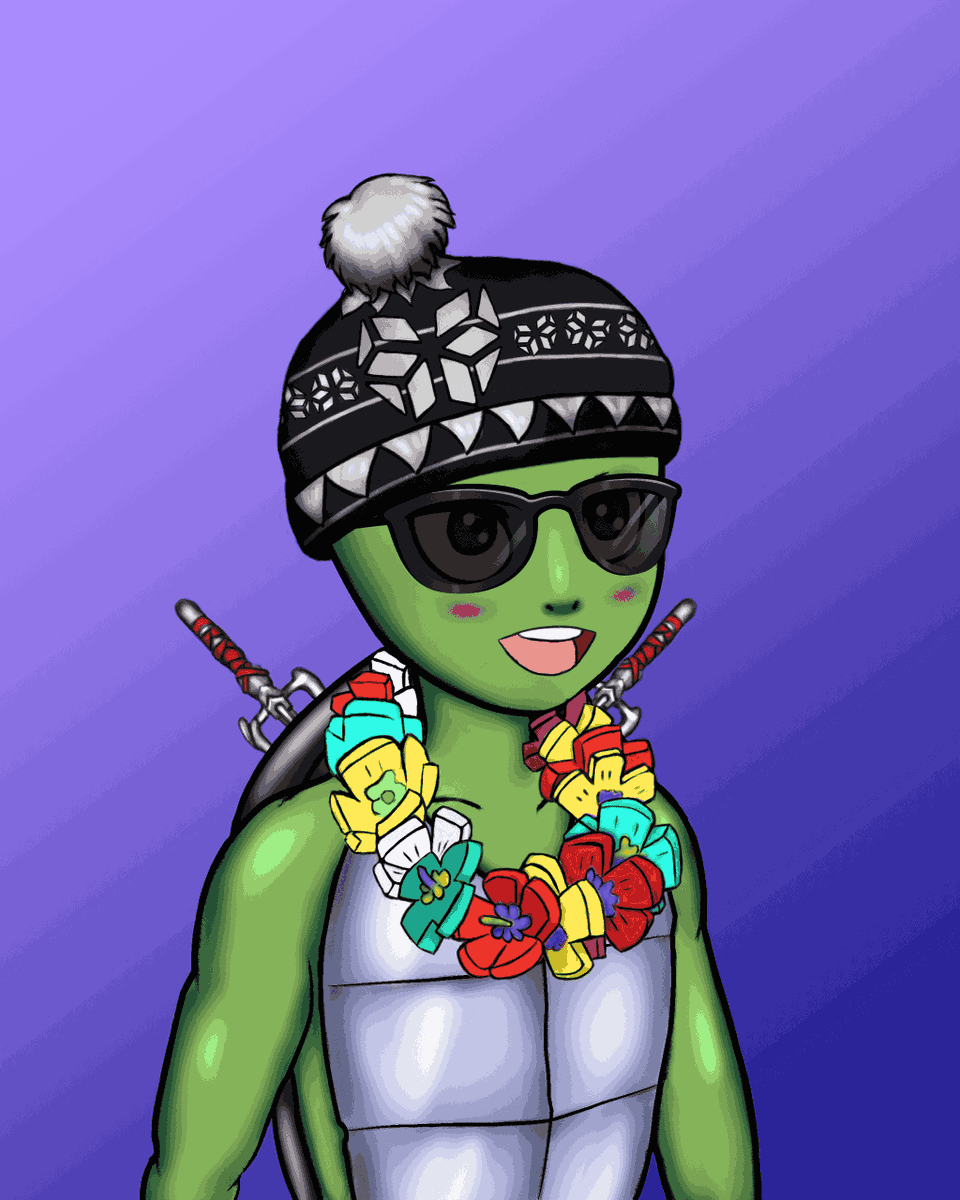procyonalien's tweet photo. SolTurtle NFT #Solana #NFTs #nftcollector #SolTurtle #SolanaNFT #winterhat #Hawaii  @green https://t.co/l0Uvi6uaAj