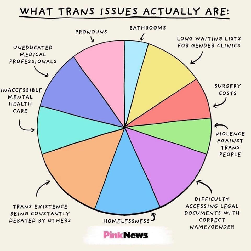 It’s #TransAwarenessWeek !💙💗🤍 
Sending love and solidarity to all. 😊
#TransWeek