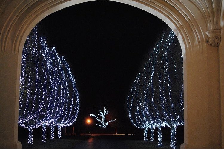 Danesfieldhouse's tweet photo. 🌲Christmas Opera🌲
Seats are filling up fast-don’t miss this grand event!
🌟Sat 11th & Sun 12th Dec
🌟5-6.30pm (20 minute interval) followed by a festive 2 course supper.
🌟Arias, duets & ensembles from famous operas.
🌟 £55 pp
🌟01628 891010
#christmasopera #marlow #henley https://t.co/isSUcCzPH8