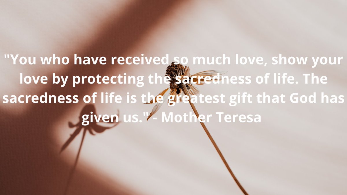 "You who have received so much love, show your love by protecting the sacredness of life. The sacredness of life is the greatest gift that God has given us." - Mother Teresa #SacredSunday