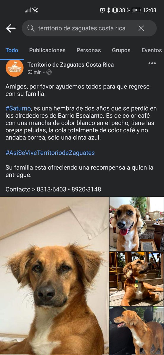 Todavía no encontramos a Saturno, por favor darle retweet 😔