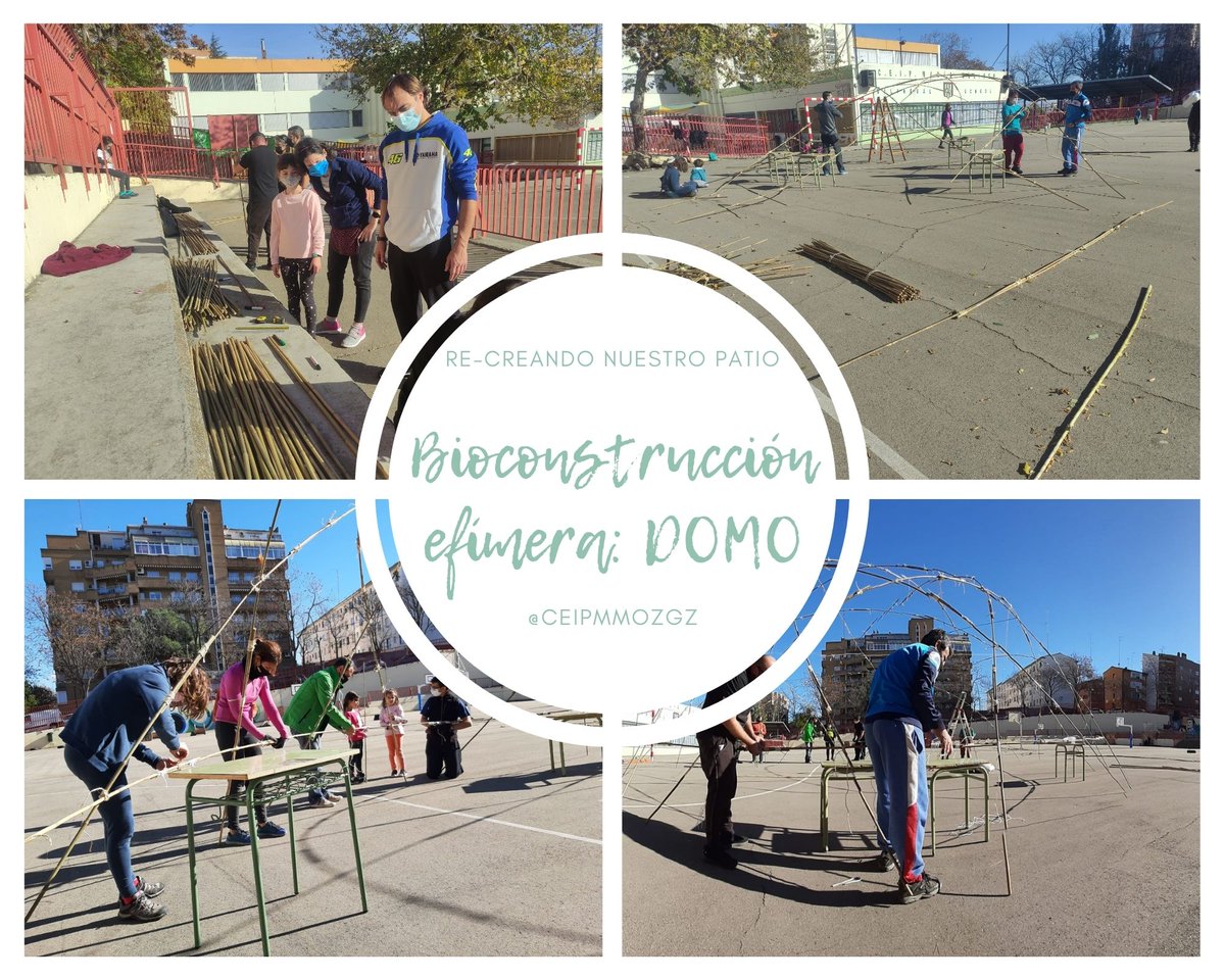 CEIP María Moliner Zaragoza tweet media