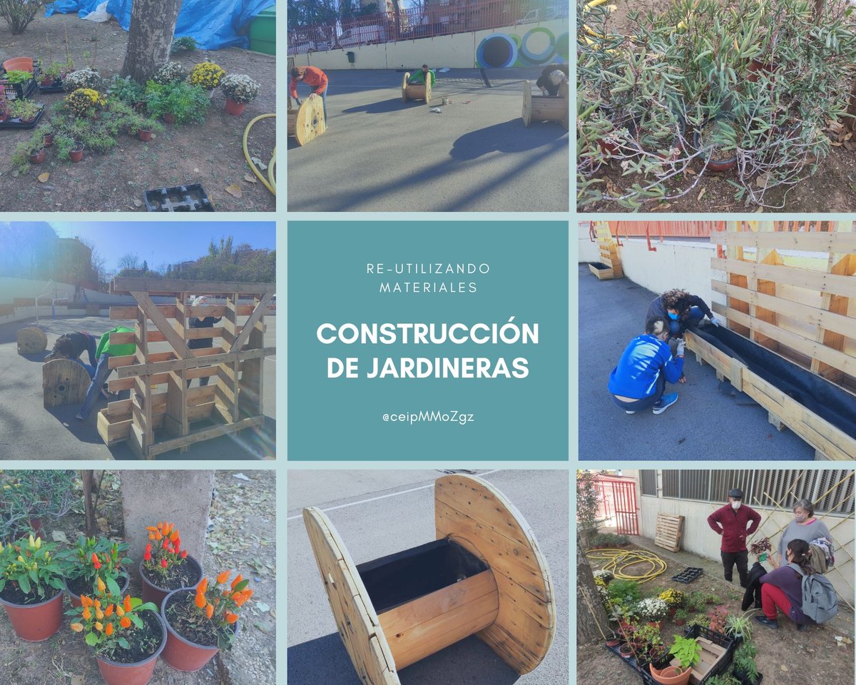 CEIP María Moliner Zaragoza tweet media