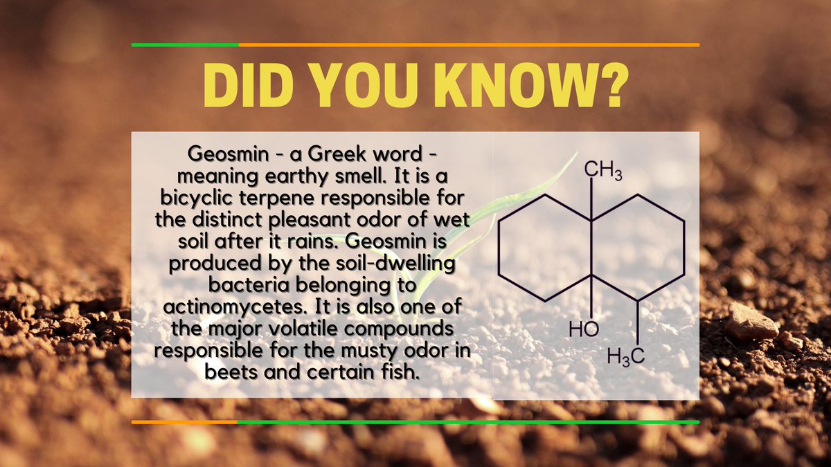 TheScienceBytes's tweet photo. #Science #scienceBytes #moleculogy #moleculeoftheday #geosmin #smell #earth #Chemistry #nature https://t.co/BgQv9U4Ucc