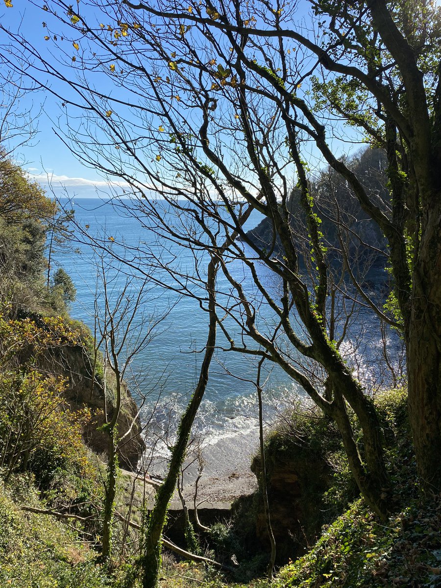 beachlifemuma's tweet photo. Lovely Sunday walk in pretty Dartmouth with the gang #dartmouth #lovewhereyoulive #englishriviera https://t.co/z4z7pRcKUo