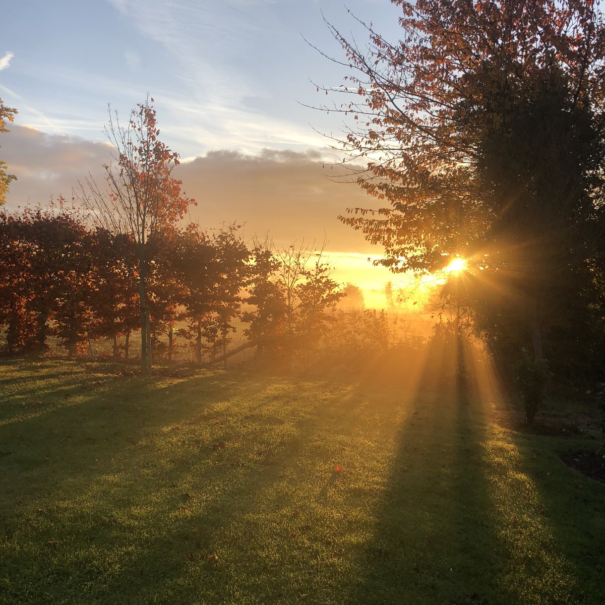 s_rhubarb's tweet photo. Magical morning followed by checking for growth, first pick 2023, for indoor rhubarb 2025💕
#ryansrhubarb
#rhubarb 
#rhuvolution https://t.co/vjErTH3c40