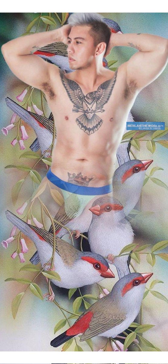 Menla4Theworld's tweet photo. #entrepajaros te veas 🐦
Cómo va su domingo chicos guapos #enchones ✌🏽🤩 #el_priinc1pito👑 https://t.co/rNBbNANxud
