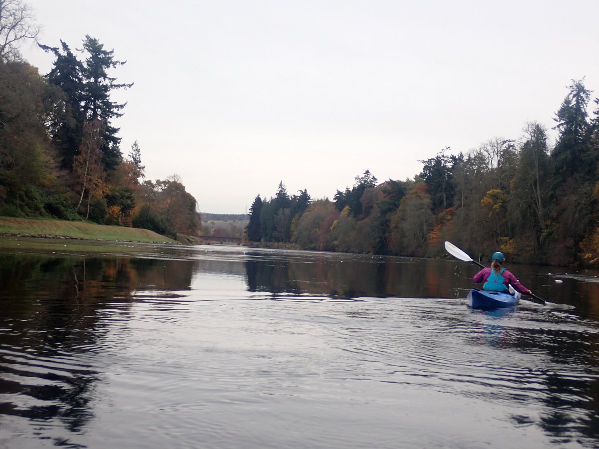 KayakPunk's tweet photo. Enjoying the autumn colours on the River Tay, Perthshire.
Just arriving at #Kinclaven Bridge
#Scotland #outdoorexplore #gopaddling https://t.co/eQdjzXQan1