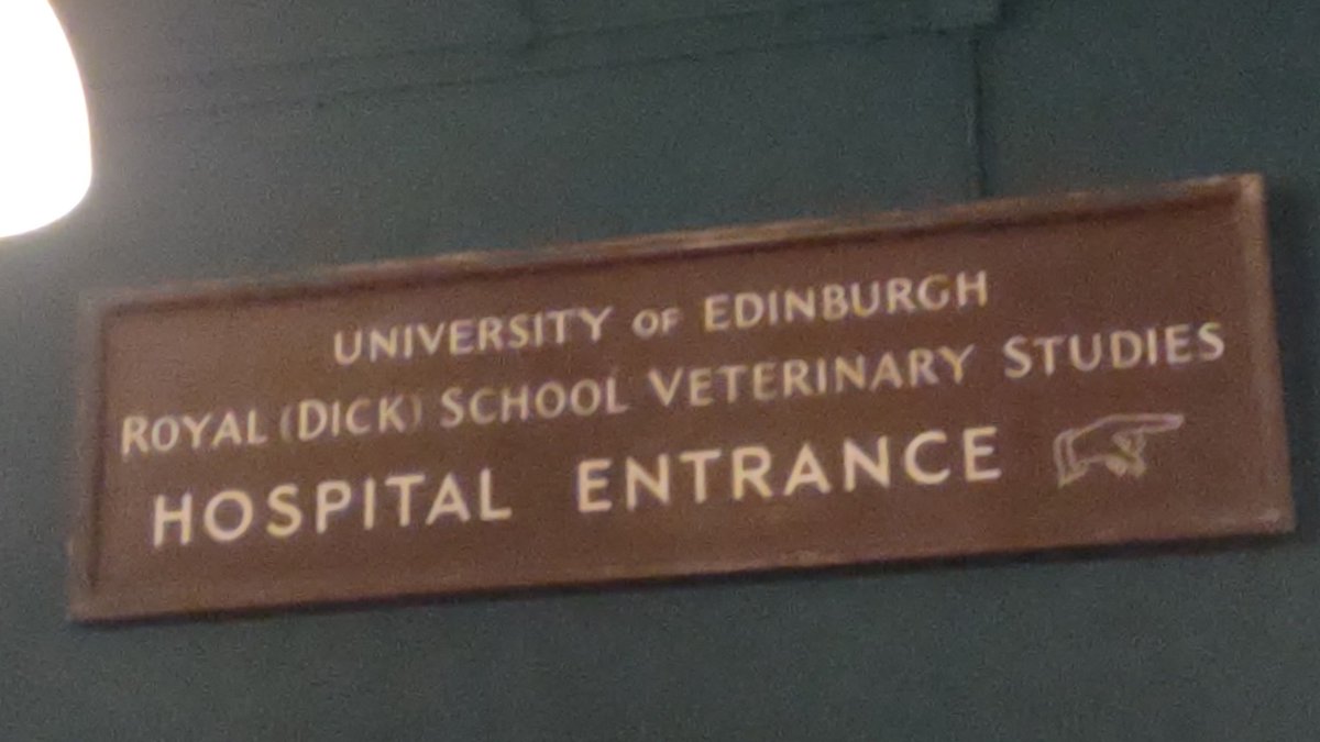 Going to a gig tonight. I feel privileged to be in the building where Aileen Cust the first ever female vet trained. #InHerShoes