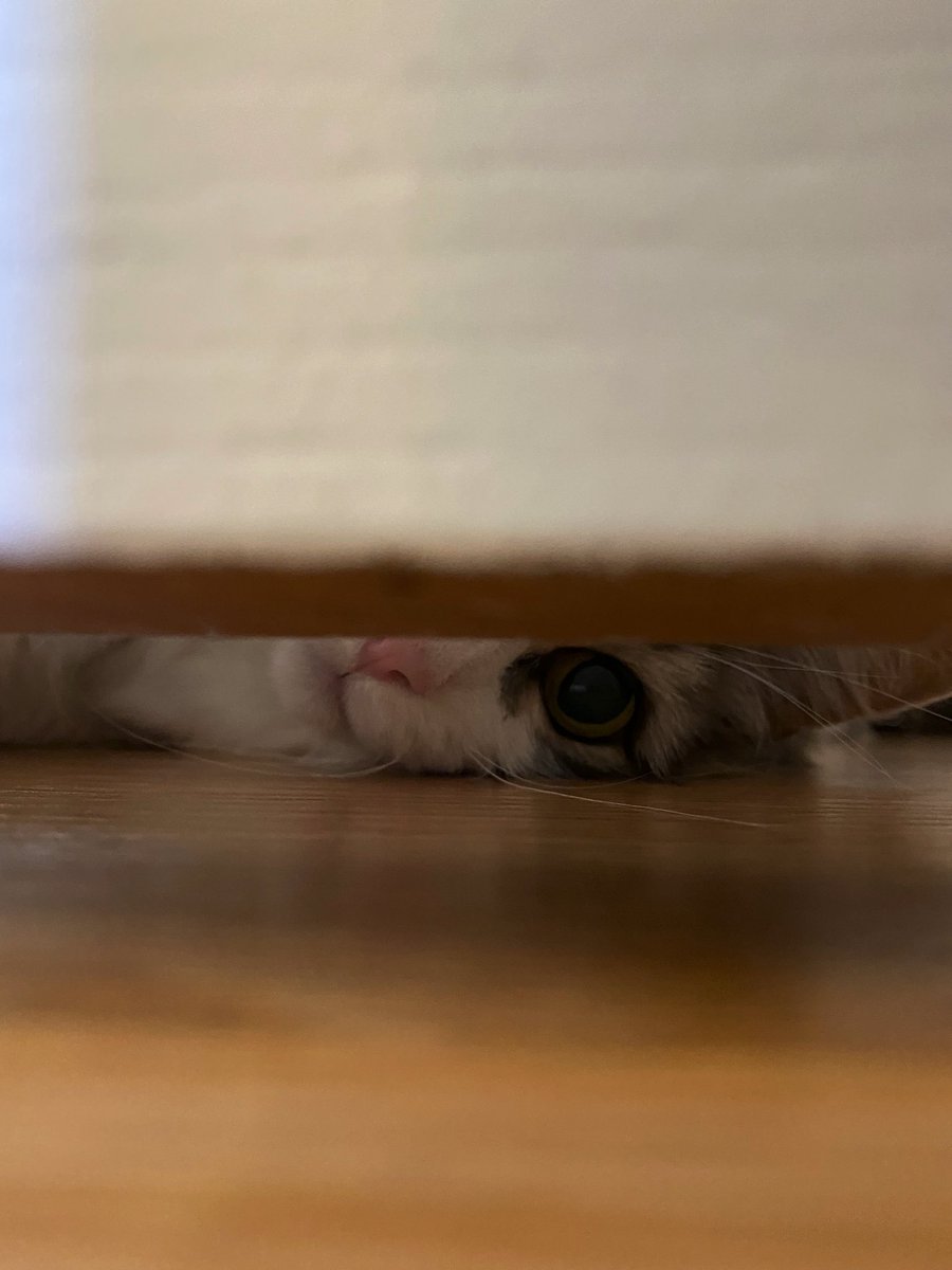 eaxelsen's tweet photo. I always feel like somebody’s watching me… https://t.co/p8hKwjL9bd