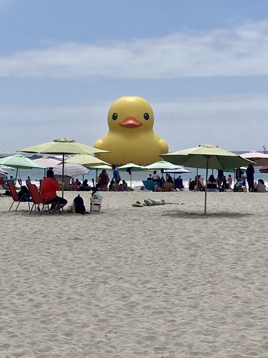 Angelic27761073's tweet photo. #iquique #cavancha #patodehule paseando por la playa https://t.co/TdLw6ukIjg