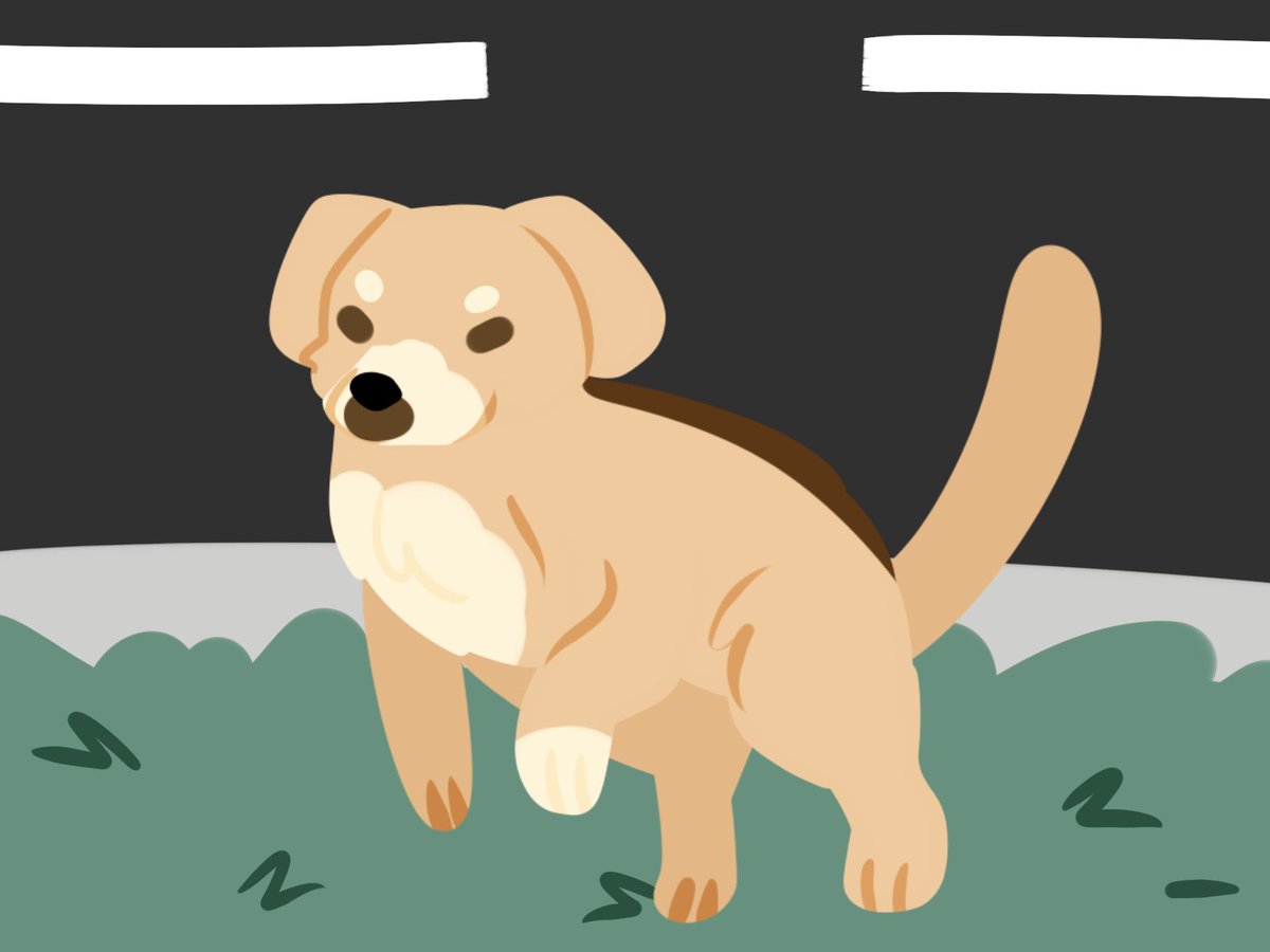 É...é um...é um vira-lata caramelo!!!!